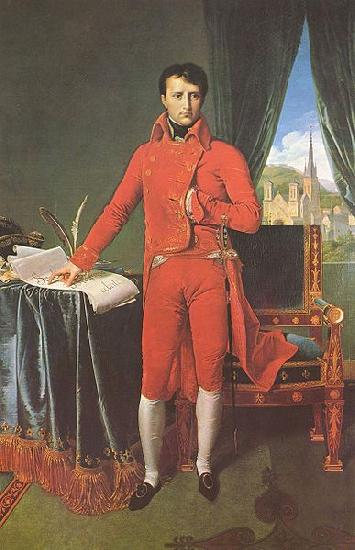 Jean-Auguste Dominique Ingres Portrat Napoleon Bonapartes als Erster Konsul China oil painting art